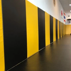 AK Athletic Equipment Custom Wood Backed Gym Wall Padding Panels 2' X 7'